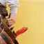 Handyman repair service in Columbia, MO for home fixes and improvements